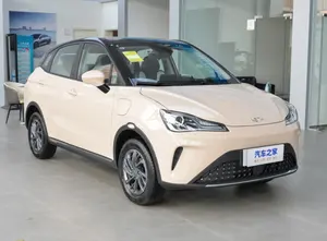 2024 New And Used Electric Cars NETA AYA 318KM Cheap New Energy Car Hot Saling Made In China NETA Best SUV For The Money