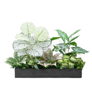 Clôture paysagère en plastique bionique Greenway, imitation de plantes vertes, 30cm-100cm, style campagnard - Product Image 1