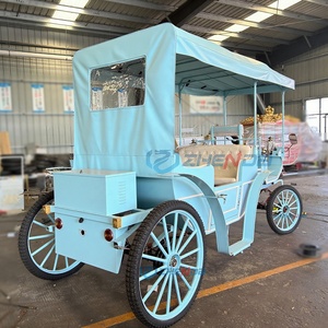 Classic Retro Horse Carriage <b>Double</b>-Row Electric Cart Hotel Hot-Selling Romantic Sightseeing Carriage - Product Image 3