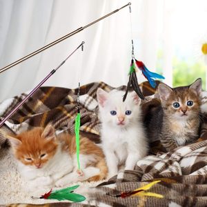 Jouet interactif pour chat avec plume de faisan perlée et clochette, bâton de chaton, griffoir et plume de feu - Product Image 6
