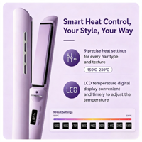 Lisseur de cheveux de poche, double tension, mini fer à lisser, affichage de la température LCD, compact, chauffe rapide, pour la maison et les voyages