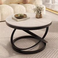 Table basse moderne en marbre et verre trempé avec rangement, écologique et facile à nettoyer, pour salon et usage domestique