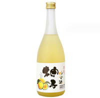 Bouteille de jus en verre Offre Spéciale de 16oz 750ML 1000ML Bouteille de vin de fruits pour boissons alcoolisées Capacité de 500ML pour diffuseur