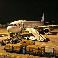 China nach USA Europa Australien Naher Osten Schneller Luftexpress Spediteur Tür-zu-Tür Versandagent DDP-Service