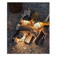 Lampe de camping d'extérieur - Rechargeable par USB, trois couleurs réglables, lanterne de camping, lampe de tente LED rétro pour le camping