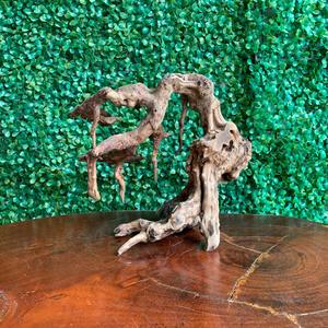 Vietnam racine bois flotté en gros aquarium décoration bois flotté bonsaï avec prix compétitif, M101 - Product Image 4