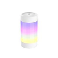 Diffuseur d'aromathérapie USB pour la maison et la voiture, purificateur d'air de bureau, effets lumineux, 300 ml, faible bruit, en plastique