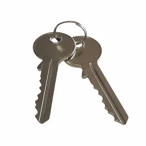 Wholesale Bump Keys Master Key Cylinder Lock Blank Keys MORTISE CYLINDER