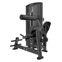 Brightway 2025 nouvelle Machine d'extension de dos commerciale équipement de Fitness d'extension de dos de gymnastique pour l'entraîneur de muscle arrière