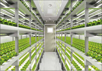 Conteneur de champignons Pro-Leaf équipement de culture agricole conteneur d'expédition ferme système hydroponique vertical