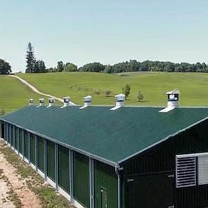 Bâtiment moderne en acier léger pour poulailler à usage industriel et commercial, abri de voiture avec panneaux sandwich - Product Image 3