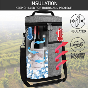 Custom Logo Bottle Carrying Case Wine Travel Bag Insulated Leakproof Wine Cooler Bag - Product Image 5