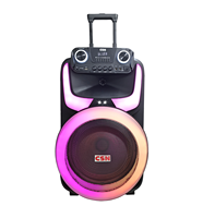 Altavoz de Karaoke, Altavoces Grandes para Fiestas al Aire Libre, Altavoces de Escenario, Bocinas de 15 Pulgadas, Altavoz con Ruedas y Micrófono Inalámbrico