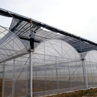 Serre multi-spans à bas prix pour tomates, serre personnalisée, cadre en acier galvanisé à chaud, serres pour légumes