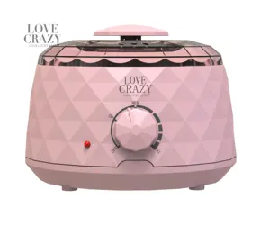 love crazy AX258 Popular Design Pot Bee Stainless Steel Electric Melter Clay Warmer Met wax Melting Hot In Pakistan Wax Machine