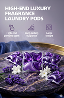 Échantillon Gratuit Vente en Gros 22g Nettoyant Puissant Jetable Parfum Premium Longue Durée Écologique Protection des Couleurs des Vêtements