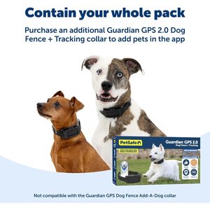 ปลอกคอสุนัข PetSafe Guardian GPS 2.0 พร้อมระบบติดตามแบบเรียลไทม์ กันน้ำระดับ IP67 ระบบติดตามสัตว์เลี้ยงอัจฉริยะ 4G สำหรับสุนัข - Product Image 5