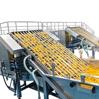 ENAK Conservenmachine Perziken Champignons Vlees Tonijn Groenten Conservenmachine Productielijn