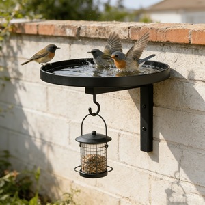 Support mural en fer forgé style européen et américain pour <span class=keywords><strong>mangeoire</strong></span> à <span class=keywords><strong>oiseaux</strong></span>, décoration extérieure pour jardin et cour, facile à installer - Vente chaude - Product Image 1