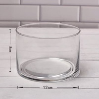 Mini bouteille droite avec couvercle en acrylique, bouteille en verre écologique pour micro-paysage de mousse, vase hautement transparent