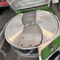 Nouvelle machine électrique à couper et à trancher l'ail, la noix de coco et les légumes, pour usage domestique, moteur 220V