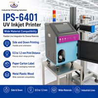 IPS-6401 UV 잉크젯 가변 데이터 인쇄기 RICOH G4 PIJ 프린터 (라벨, 상자, 카드 및 포장용)