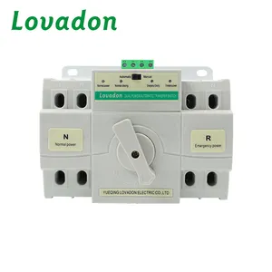 Transfer Switch Automatic Intelligent Good Quality 220V AC 63A 2P Automatic Electrical Changeover ATS Equipment Controller Power Automatic Transfer Switch