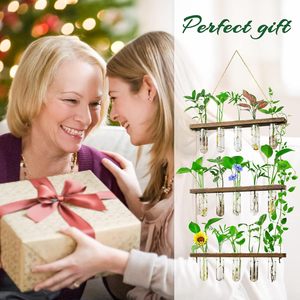 Maceta Colgante de Pared Ecológica Redonda para Decoración de Jardín u Oficina, para Plantas de Aire de Vietnam, Cultivo de Flores y Plantas Verdes - Product Image 2