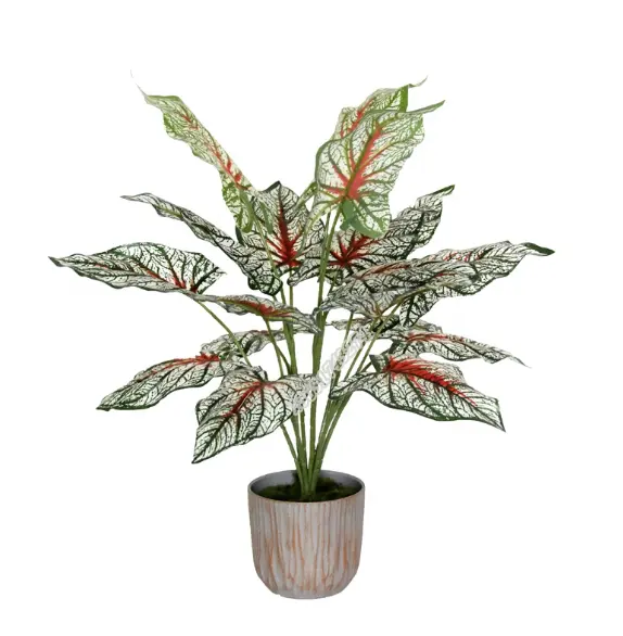 Artificial plants faux pampas plant artificial flowers artificial bonsai plant red Caladium for decoration