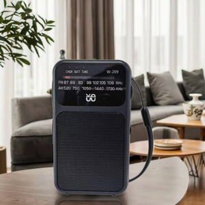 Klasik AM/FM radyo W-209, sabit bir arkadaşı/çift güç modu/topuzu işaretçi ayarlama/özelleştirilebilir logo - Product Image 3