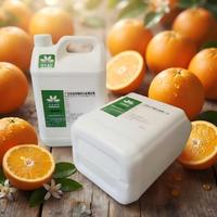 Concentré d'arôme alimentaire à l'orange certifié Halal pour huiles, parfums, pâtisseries, gâteaux, biscuits, pour une saveur longue durée