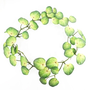 Guirnalda de Plantas Artificiales de 170 cm de Largo <span class=keywords><strong>para</strong></span> Decoración de Pérgolas, Enredadera de Plantas Artificiales - Product Image 5