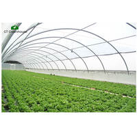 Serre tunnel en polycarbonate pour hydroponie à vendre