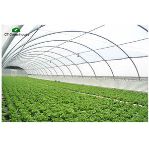 Invernadero de Túnel Hidropónico de Plástico de Policarbonato en Venta - Product Image 3