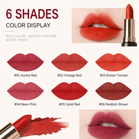 Vente en gros de maquillage pour les lèvres, mousse crémeuse à haute pigmentation, longue tenue, non collante, rouge à lèvres mat velours