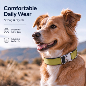 Collier tactique pour chien en nylon avec poignée supérieure, doublure rembourrée et boucle en métal pour promenades personnalisées - Product Image 6