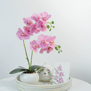 LE-28 Vente en gros de pot de fleurs en céramique 43cm 2 têtes Fleurs <span class=keywords><strong>d</strong></span>'orchidée artificielles au toucher réel pour mariage Saint-Valentin Nouvel An - Product Image 2