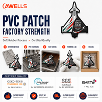 Patch PVC 3D personnalisé, logo du club aéro Sky Ace, badge pour vêtements et accessoires d'aviation AWELLS
