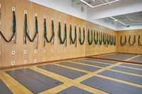 Système de Corde Murale Multifonctionnel pour Yoga avec Panneaux en Bois, Sangles de Balançoire Réglables pour Pilates et Entraînement de Musculation