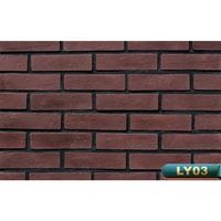 Briques murales extérieures fines en faux béton résistantes aux acides BERICH LY04 en promotion