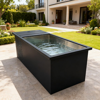 Baignoire à glace moderne avec système de refroidissement et bain froid pour spa à domicile de luxe et installation en salle de sport