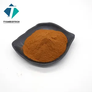 High Quality Forsythia Suspensa Fruit ExtractExtract Food Grade Forsythia Powder