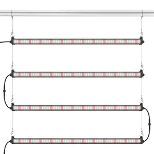 Liweida 높은 수율 lm301h lm301b 양면 led 실내 식물 240 도 ip65 수직 농업 식물 램프에 대 한 성장 빛