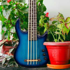 <span class=keywords><strong>Basso</strong></span> Elettrico U BASS in Acero Frassino Blu Lucido a <span class=keywords><strong>4</strong></span> <span class=keywords><strong>Corde</strong></span> con Paletta Acustica per Uso Professionale a Prezzo <span class=keywords><strong>Basso</strong></span> - Product Image 4