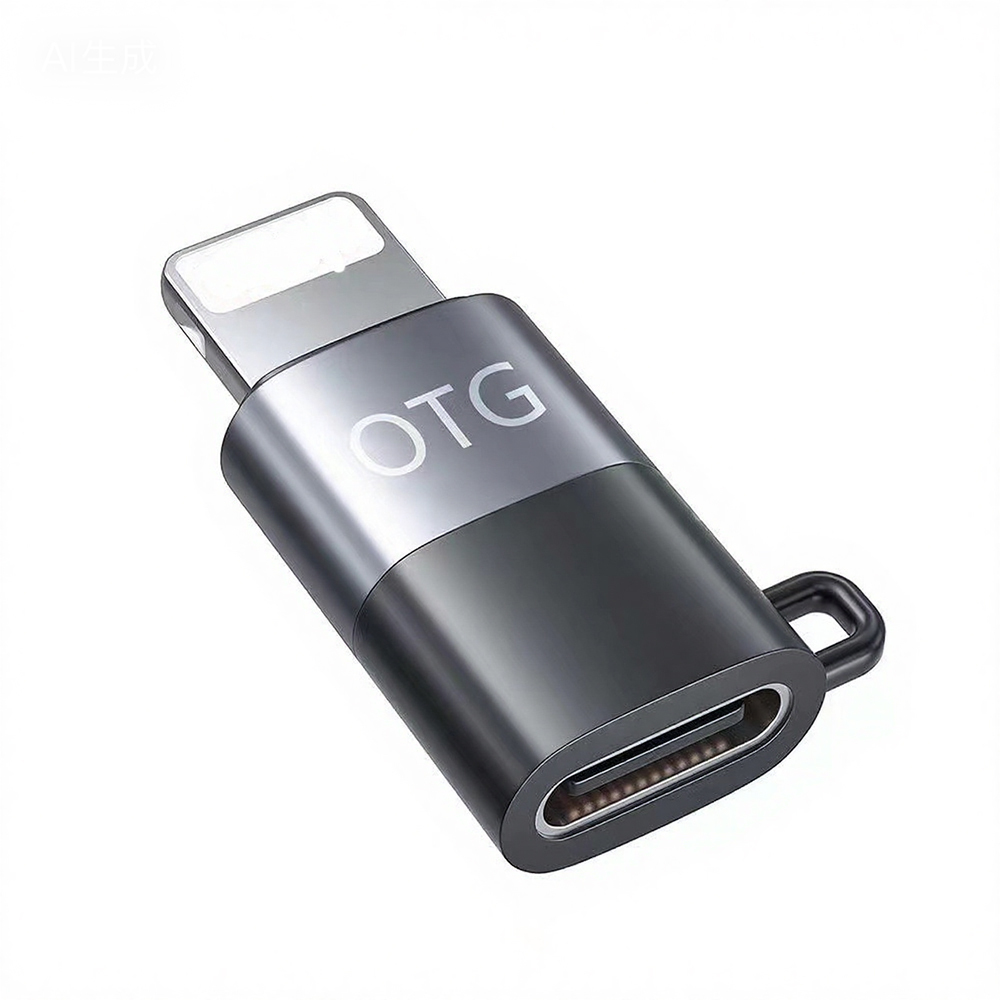 Adaptateur Lightning noir