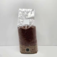 Sacs de culture de champignons transparents, résistants à la moisissure, en plastique robuste, respirants, livraison rapide