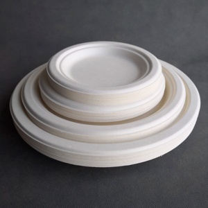 Assiettes jetables écologiques <span class=keywords><strong>pour</strong></span> mariage, 6 pouces, biodégradables, en bagasse de canne à sucre, compostables, <span class=keywords><strong>pour</strong></span> plats à <span class=keywords><strong>emporter</strong></span> - Product Image 4