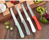 Ensemble de 6 couteaux à steak dentelés en acier inoxydable, couteaux utilitaires, manche en plastique coloré, emballage sous blister