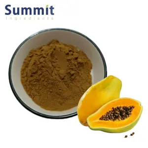 Food Quality Papaya Fruit Extract 4:1 Papaya Fruit Powder