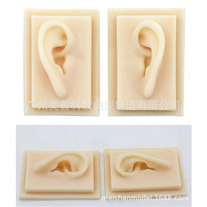 Modèle d'oreille en silicone, modèle d'oreille souple en TPR, moule d'oreille humaine réaliste, accessoire de démonstration pour aide auditive (oreille gauche) - Product Image 5
